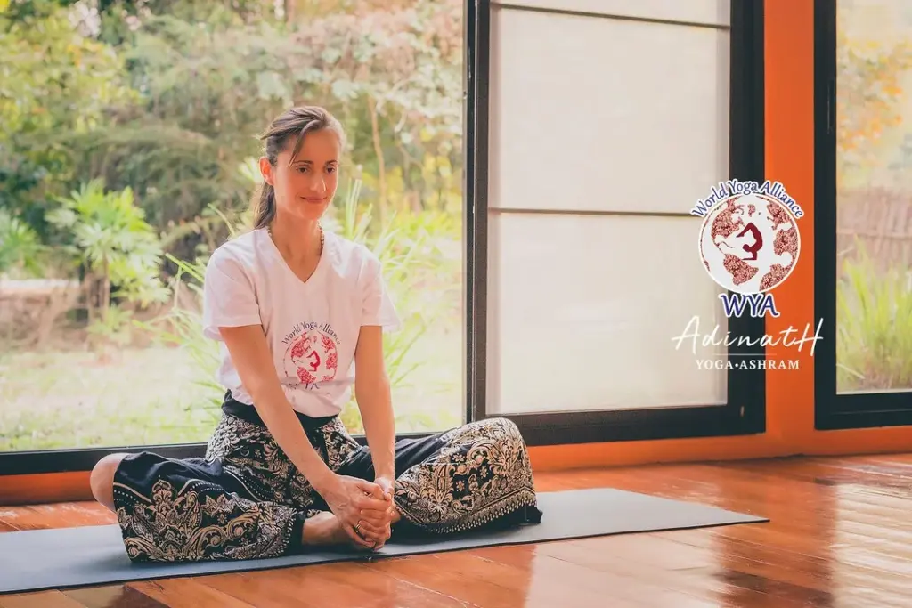 World Yoga Alliance international educational standards