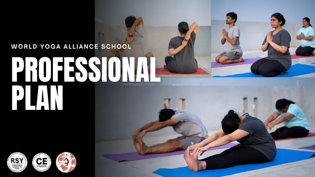 Professional Plan by World Yoga Alliance for advanced yoga school accreditation and global certification