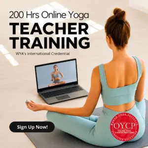 200 Hrs Online Yoga Teacher Training