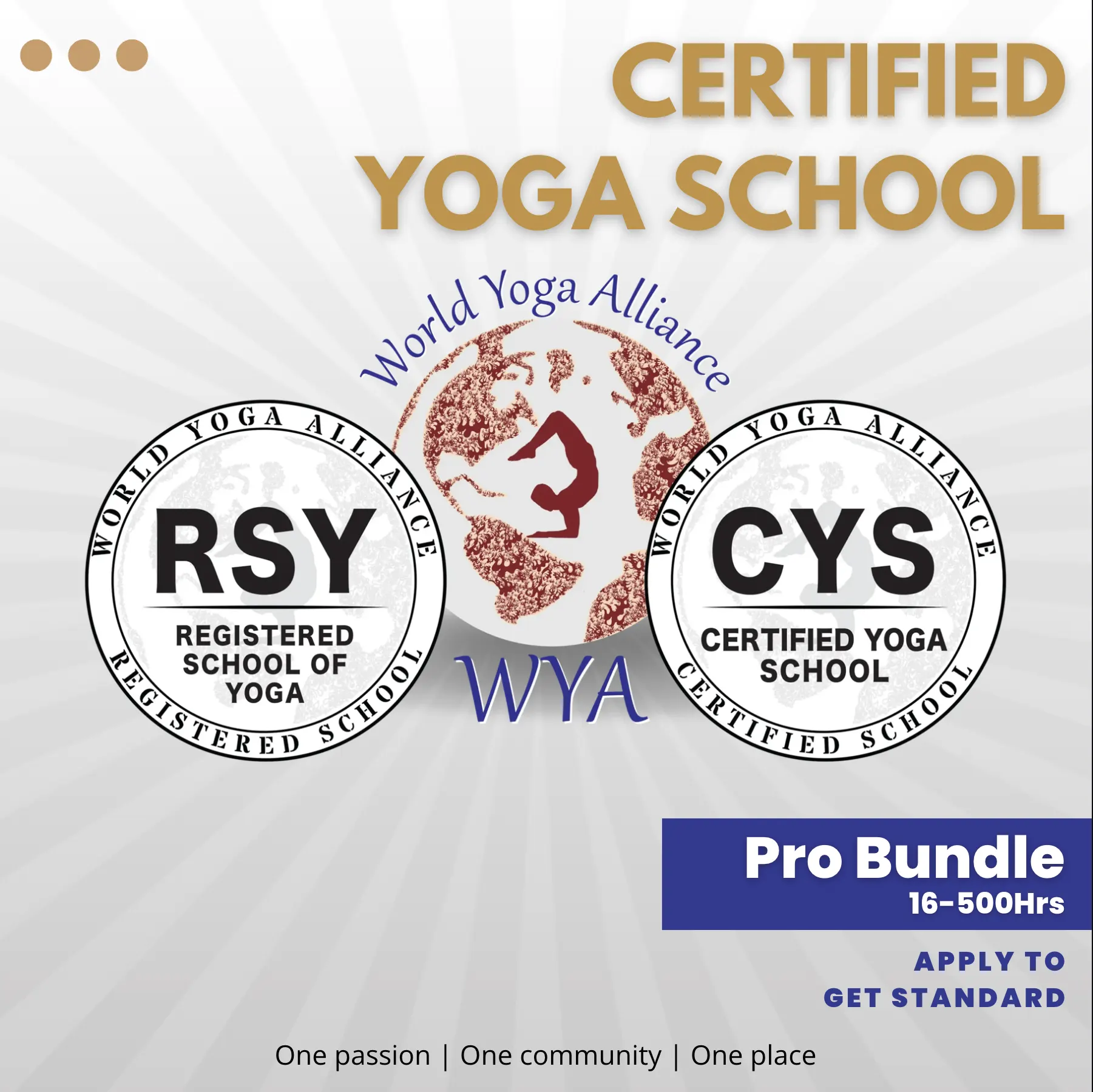 Certified Yoga School Pro License